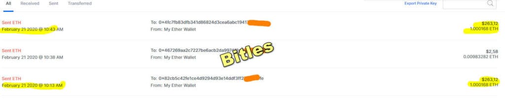 bit les payment proof 1024x202 - [STOP] Bitles Review: Long-term project 2020 - Maybe the next Bitconnect?