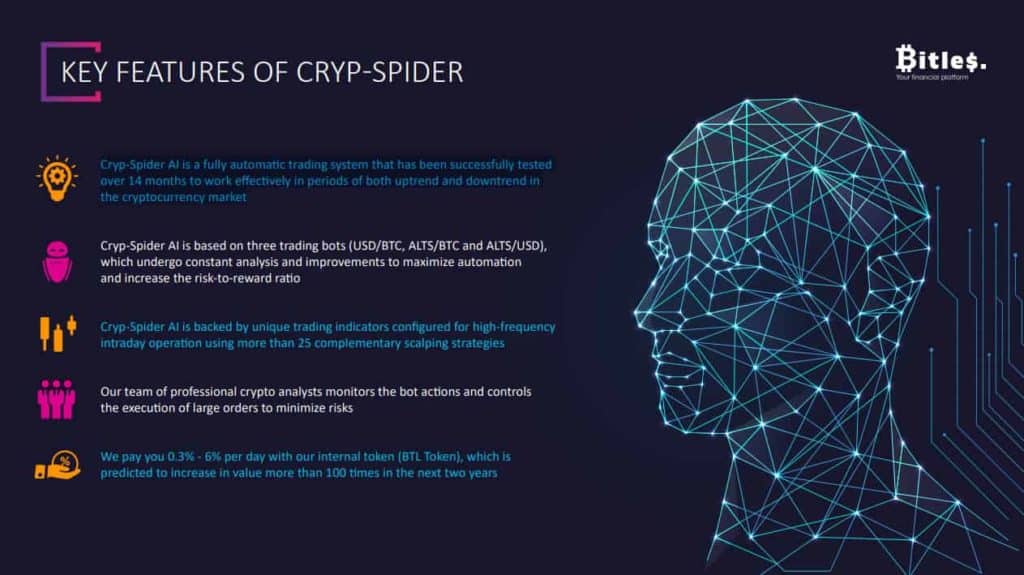 bitless cryp spider ai 1024x575 - [STOP] Bitles Review: Long-term project 2020 - Maybe the next Bitconnect?