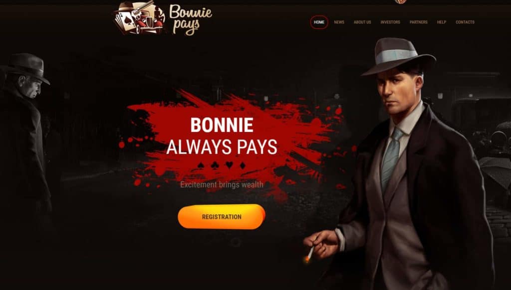 bonnie pays hyip 1024x582 - Bonniepays Review - HYIP: Profit 1% per day in 20 business days!