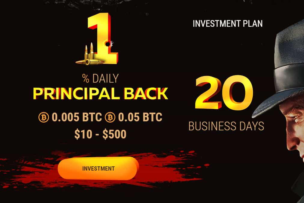 bonnie pays investment plan - Bonniepays Review - HYIP: Profit 1% per day in 20 business days!
