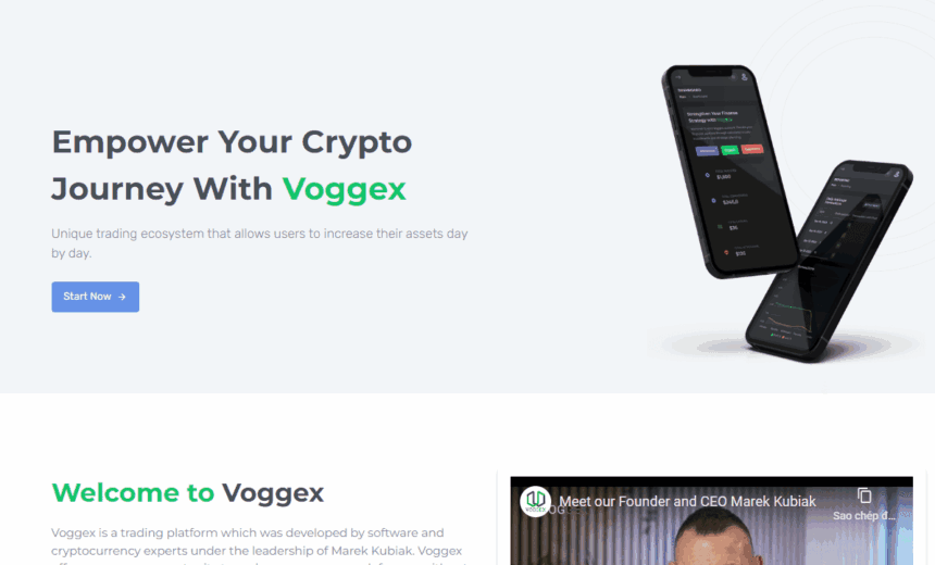 voggex review